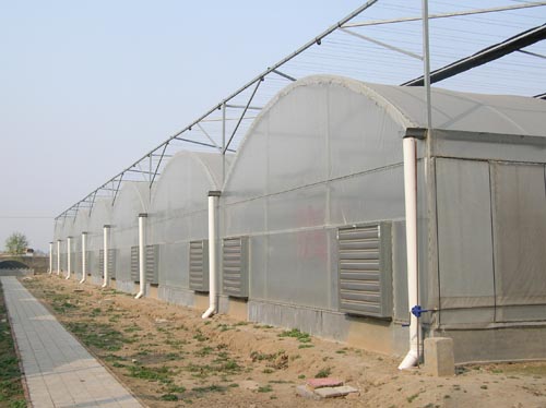 河南最专业的大棚河南最专业的大棚建设，中坤温室建设供应全国