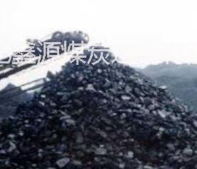 陕西榆林横山38块煤炭批发批发