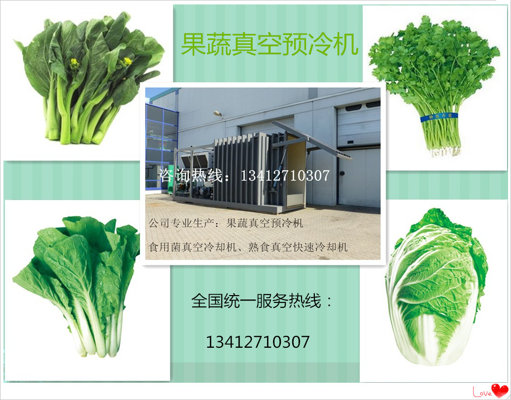 供应用于农产品加工的蔬菜真空预冷机制冷保鲜设备图片