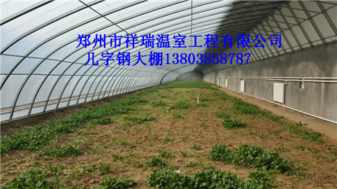 环保实用的日光蔬菜大棚简易阳光板温室大棚建造郑州祥瑞