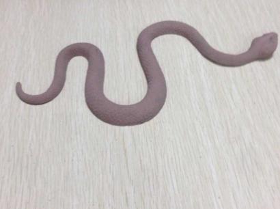 金华市厂家直销TPR橡胶玩具蛇料厂家