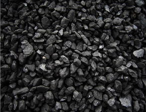 陕西优质块煤籽煤面煤批发