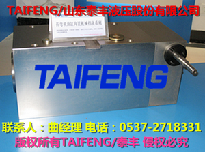 供应用于液压缸的泰丰 WC67Y-TF普通折弯机液压缸