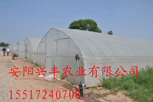 简易蔬菜拱棚建造厂家哪家强