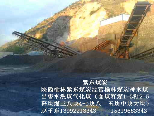 供应用于工厂电厂民用的出售面煤籽煤中大块煤鄂尔多斯柴煤炜煤供应 鄂尔多煤鄂尔柴煤炜煤