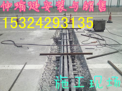 惠州GQF-C/F型模式是桥梁伸缩缝价批发