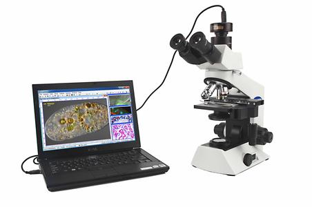 供应奥林巴斯CX31生物显微镜CX31-32C02图片
