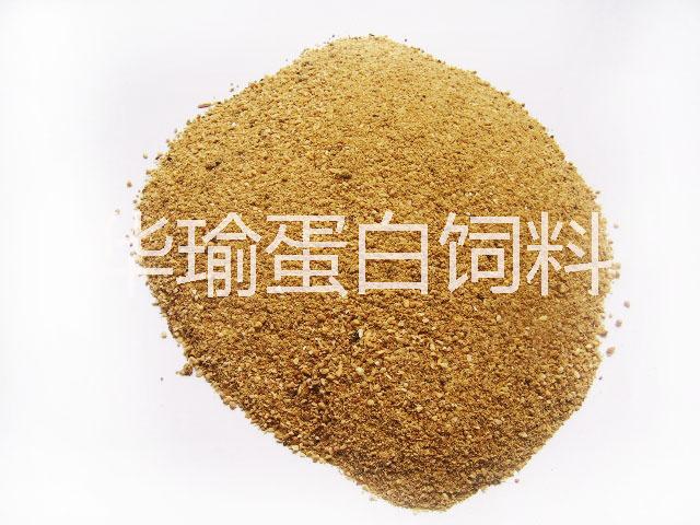 供应中国肉粉