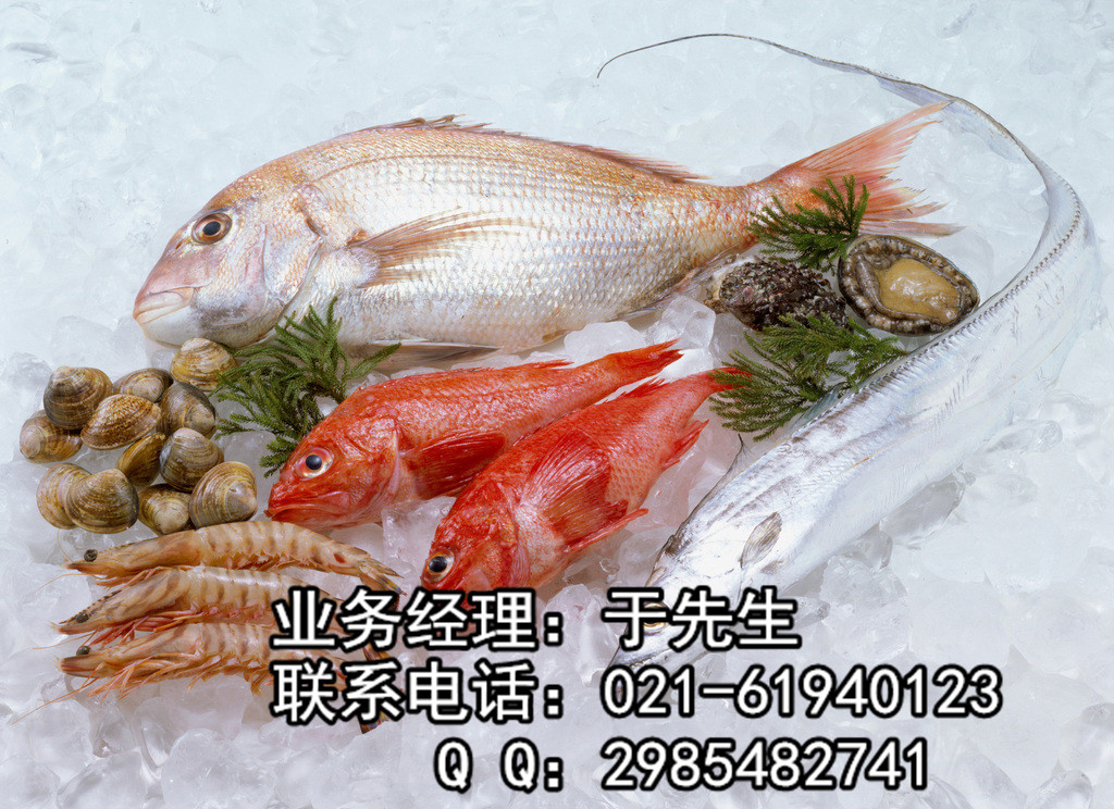 供应海鲜进口代理、澳龙鲜虾报关图片