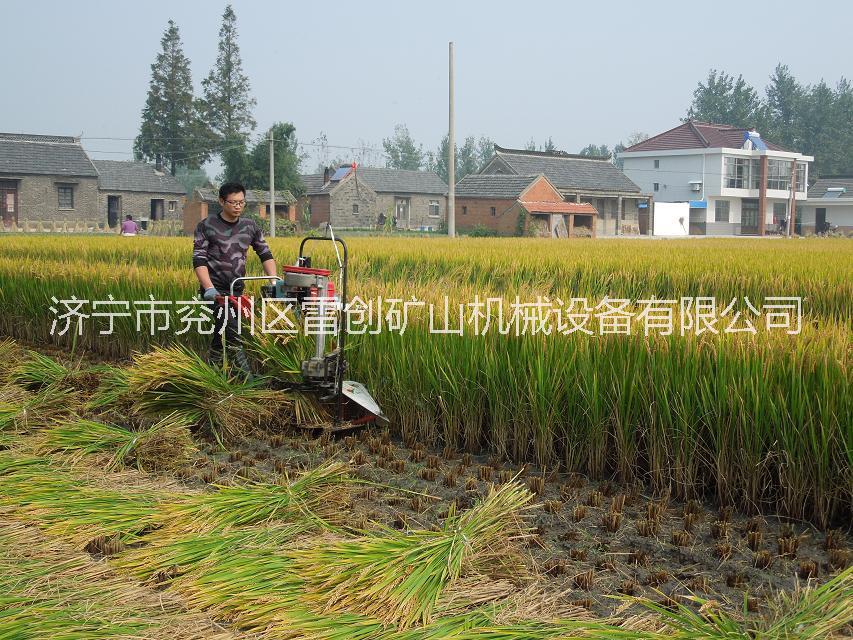 供应秸秆收割机 水稻割捆机厂家直销
