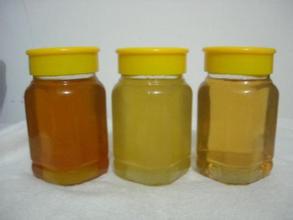 供应蜂蜜保质期