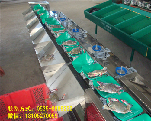 全自动螃蟹海产品重量分大小供应 全自动螃蟹海产品重量分大小