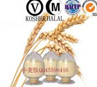 小麦低聚肽粉 小麦肽批发企业 小麦肽粉 黄淮海区小麦低聚肽粉  食品级小麦低聚肽粉