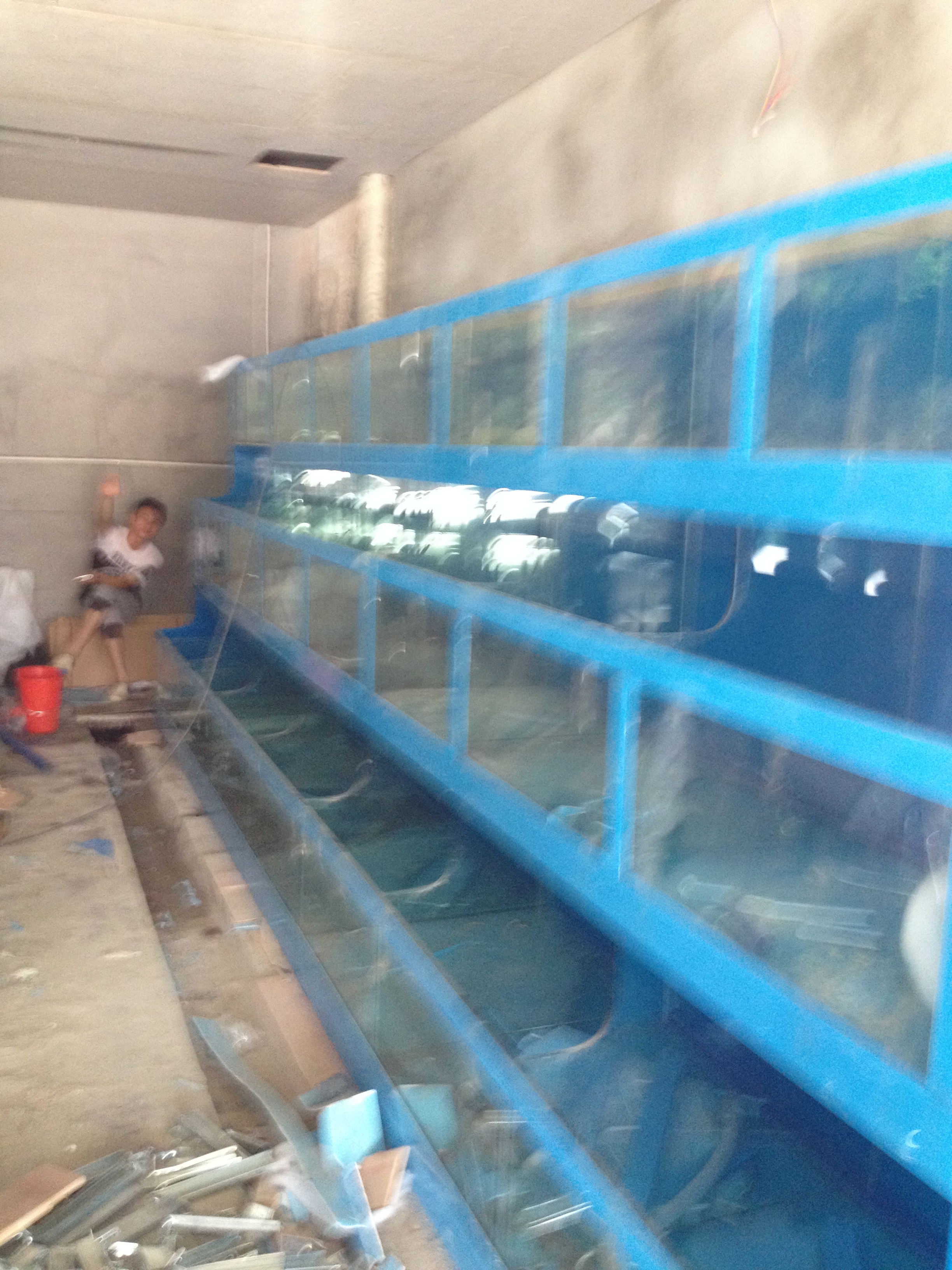 广州厂家销售海鲜鱼池/广州酒店餐饮海鲜制冷鱼池订做