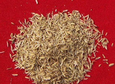 供应用于饲料的大量销售稻壳，稻壳粉，稻壳灰