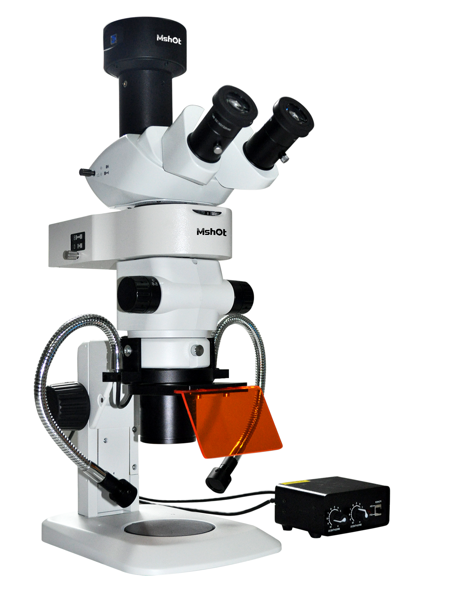 供应体视荧光显微镜 MZX81