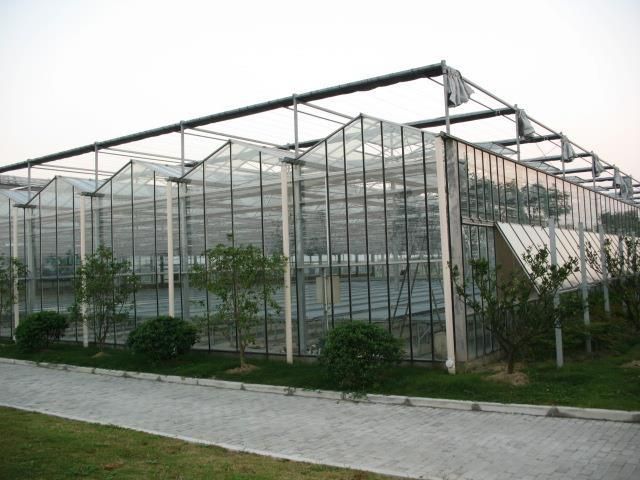 供应陕西杨凌雨丰纹洛-9.6式智能玻璃温室大棚设计制作安装销售量大从优图片