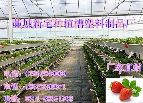 供应草莓种植槽草莓无土栽培槽