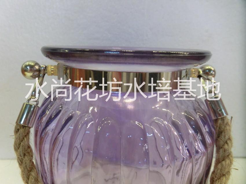供应透明玻璃花瓶水培玻璃瓶彩色图片