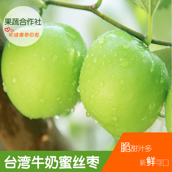 供应优质台湾牛奶蜜丝最大批发基地 最新上市台南一号 脆甜台湾一号果苗  蜜丝枣苗树