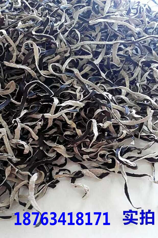 莱芜市地耳丝 黑木耳丝厂家供应地耳丝 黑木耳丝 质优价廉 常年供应
