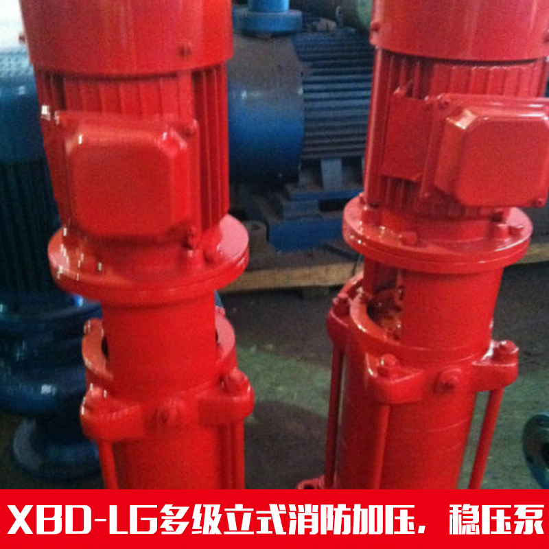 供应XBD-LG多级立式消防加压 消防稳压泵组图片