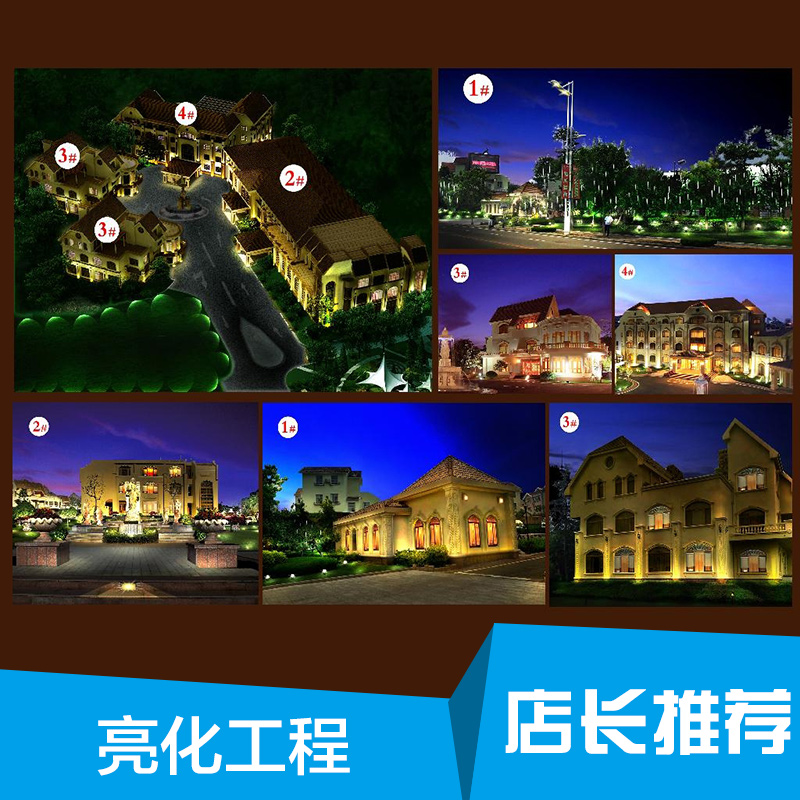 广州市亮化工程厂家专业供应 亮化工程 LED户外景观亮化灯光工程
