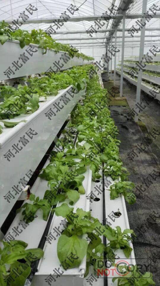 供应杭州草莓立体种植槽 草莓育苗槽 山东草莓立体种植槽 提高产量效益