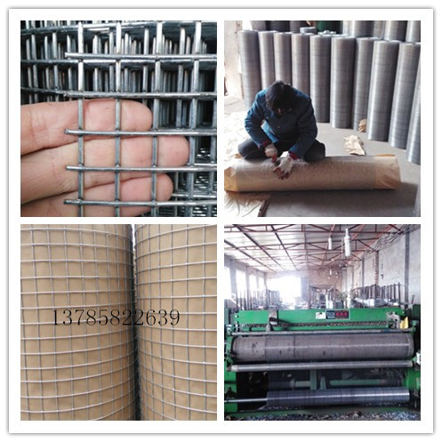 供应异型电焊网定制，异型电焊网批发图片