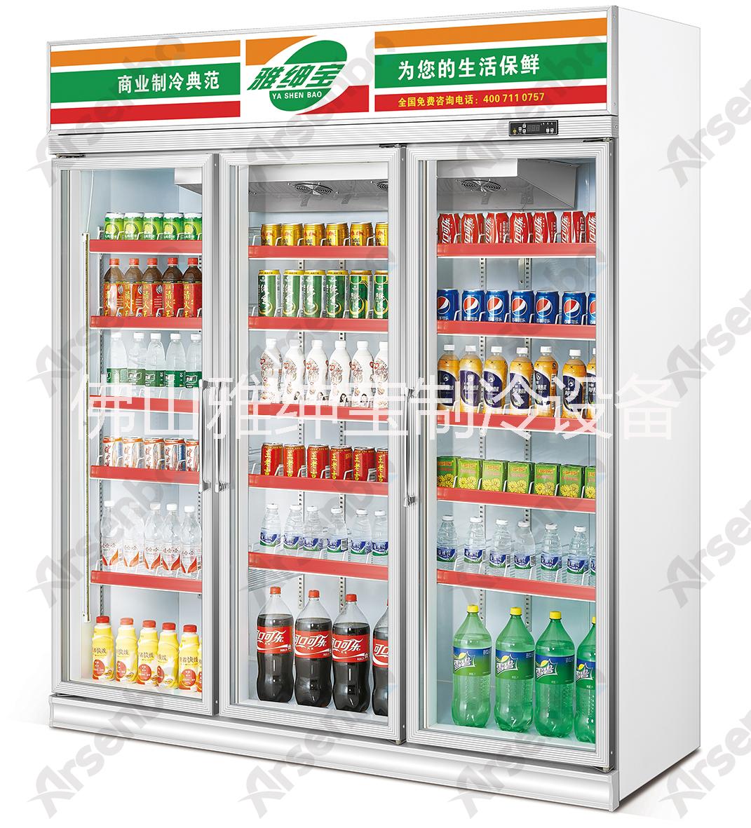 供应三门展示柜哪个牌子好 广东冷柜排名比较后的冷柜厂家