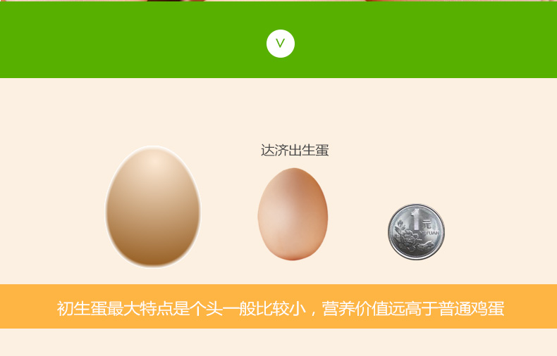 广州土鸡蛋哪里有卖达济土鸡蛋批发
