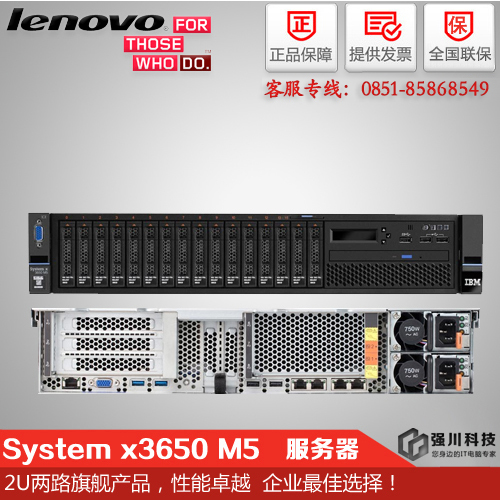 联想System x3650M5批发