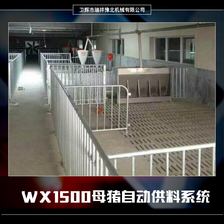 新乡市WX1500母猪自动供料系统厂家