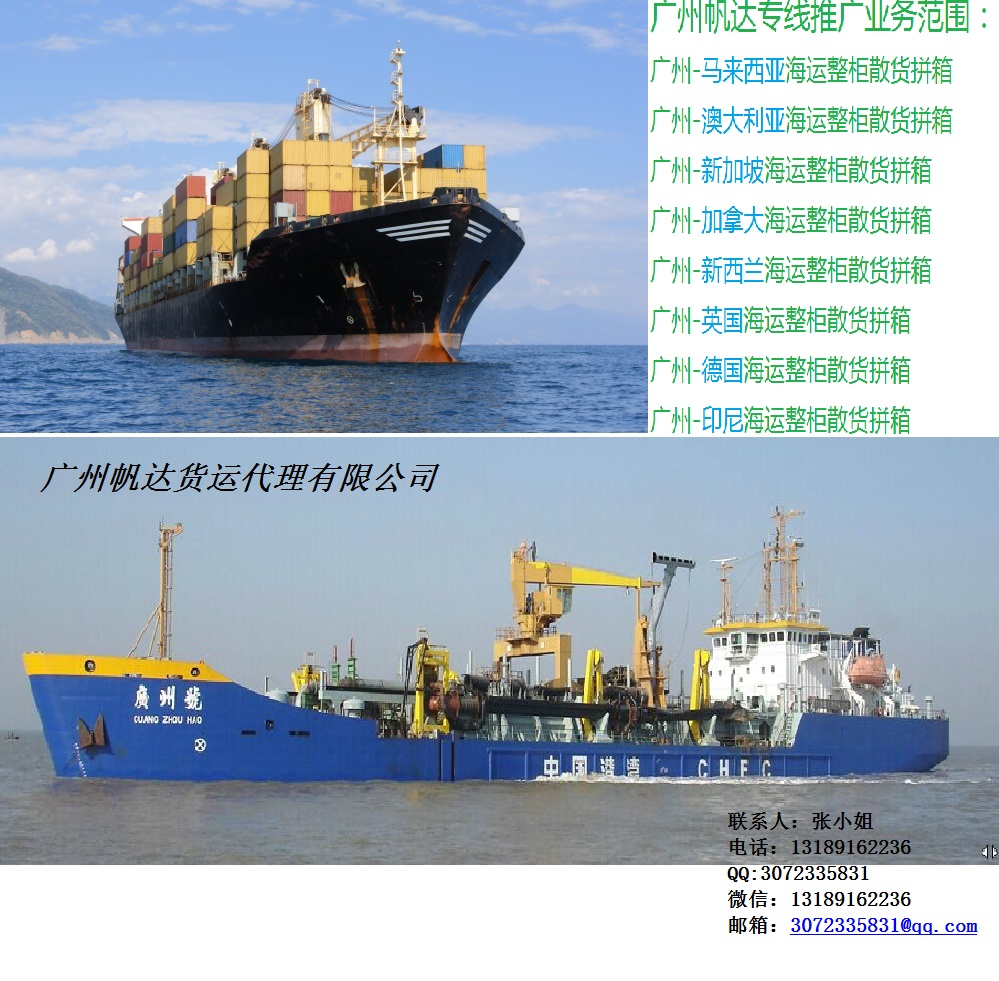 广州市提供至新西兰国际货运海运专线厂家