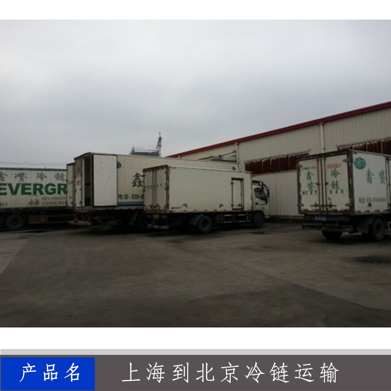 上海冷藏食物运输公司 哪里整车冷藏冷冻运输 冷冻运输报价