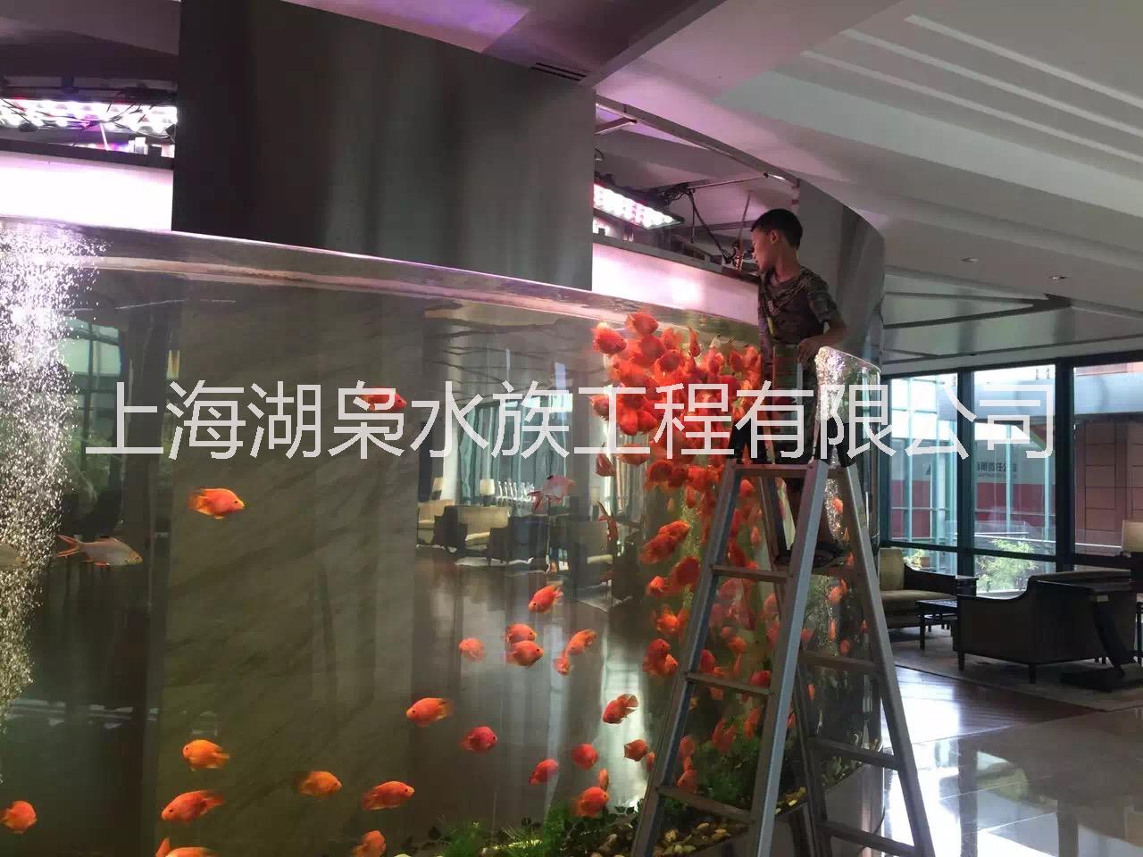 广州壁挂式鱼缸专业订做壁挂式鱼缸  壁挂式鱼缸定制  客厅挂墙式鱼缸