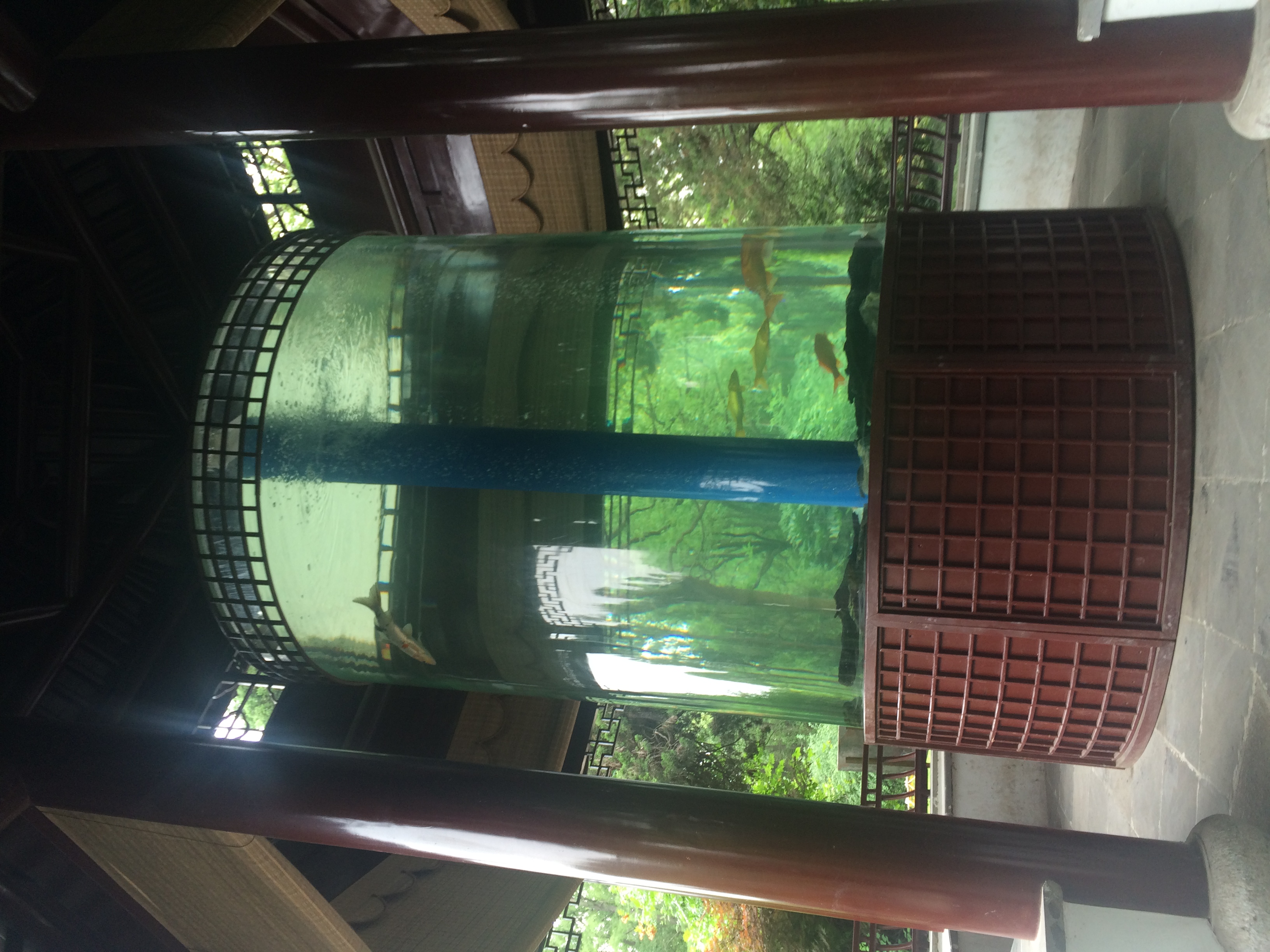 江苏玻璃鱼缸 玻璃鱼缸厂家定制设计首选-上海湖枭水族工程有限公司图片