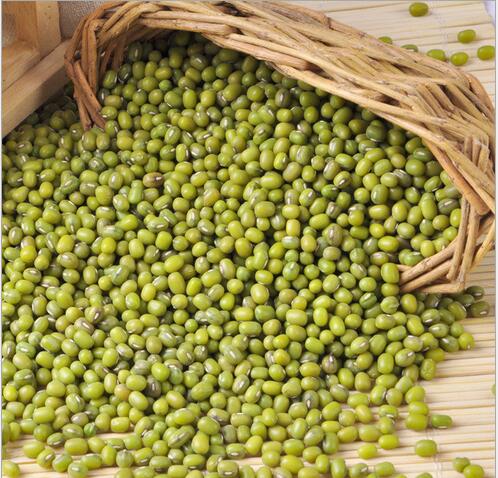 双辽市茂林镇喜善村腾达种植供应优质绿豆