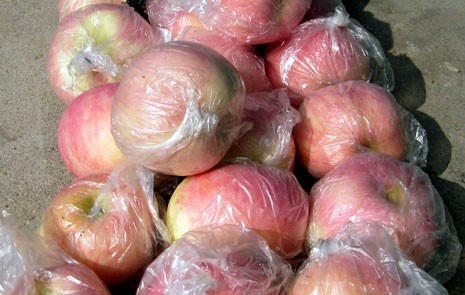 水晶红富士苹果批发多少钱山东红富士苹果价格图片