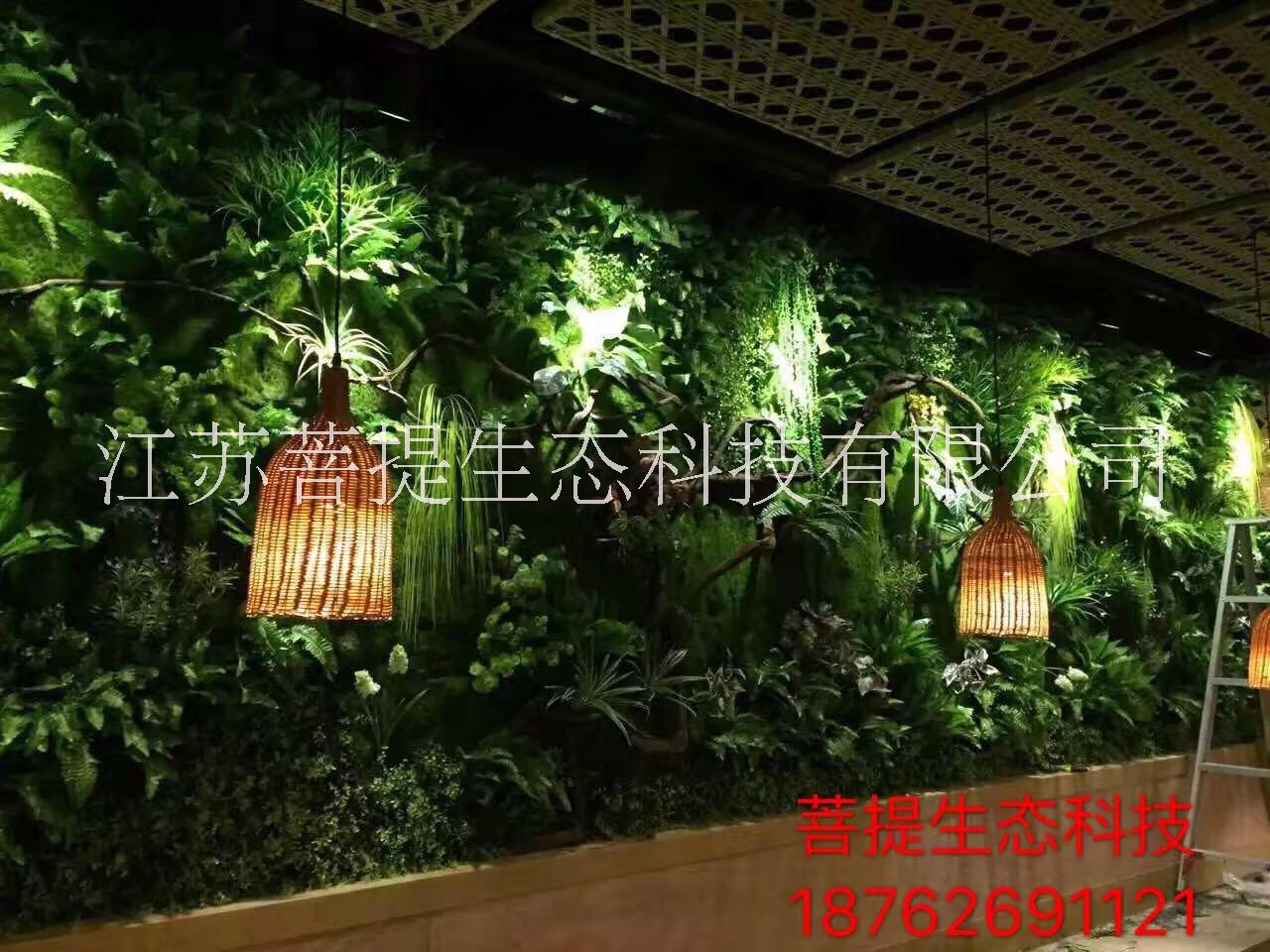 苏州植物墙生产厂家图片