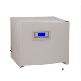 电热恒温干燥箱 干燥箱