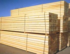 美国木材进口原木进口纽约至深圳批发