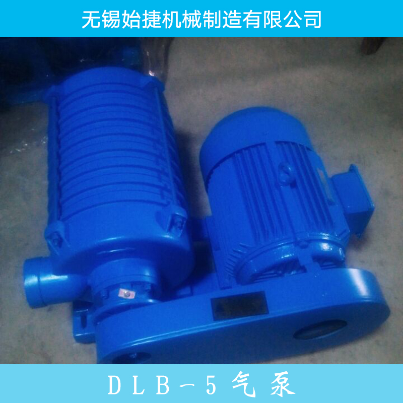 DLB-5气泵价格批发