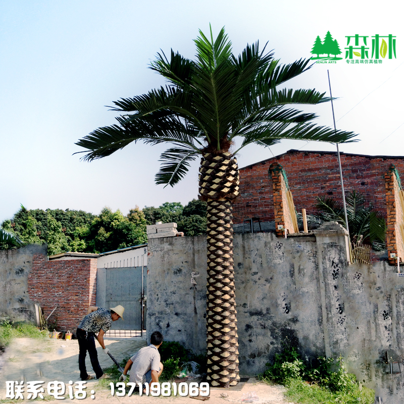 玻璃钢海藻树 东莞厂家直销 人造假树 园林景观布景 加纳利中东海藻树 游乐园装饰假树