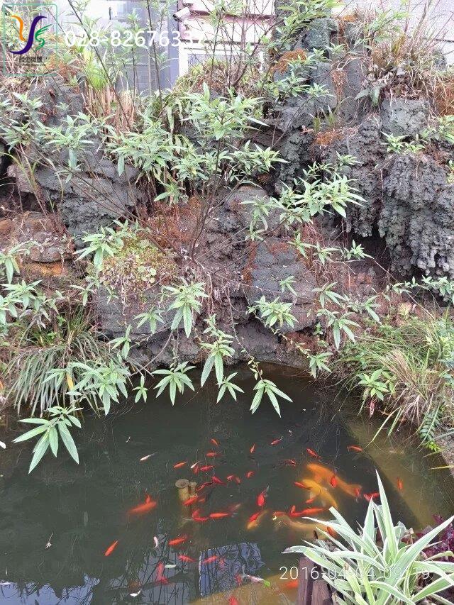 成都市四川成都私家花园园林景观设计厂家