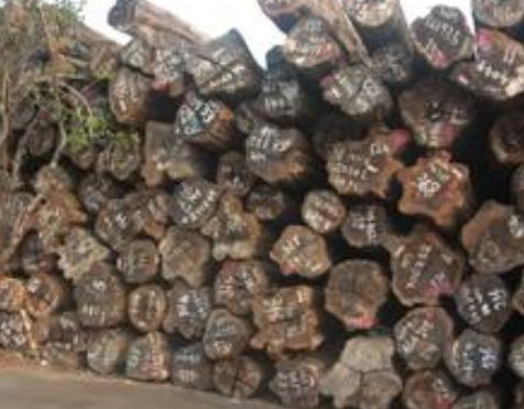 出售进口非洲原木铁木豆原木出售进口非洲原木铁木豆原木