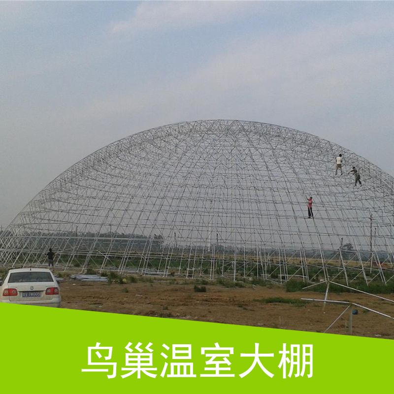 鸟巢温室大棚 穹顶建筑穹顶集成温室大棚 农业观光大棚 种植生态温室大棚