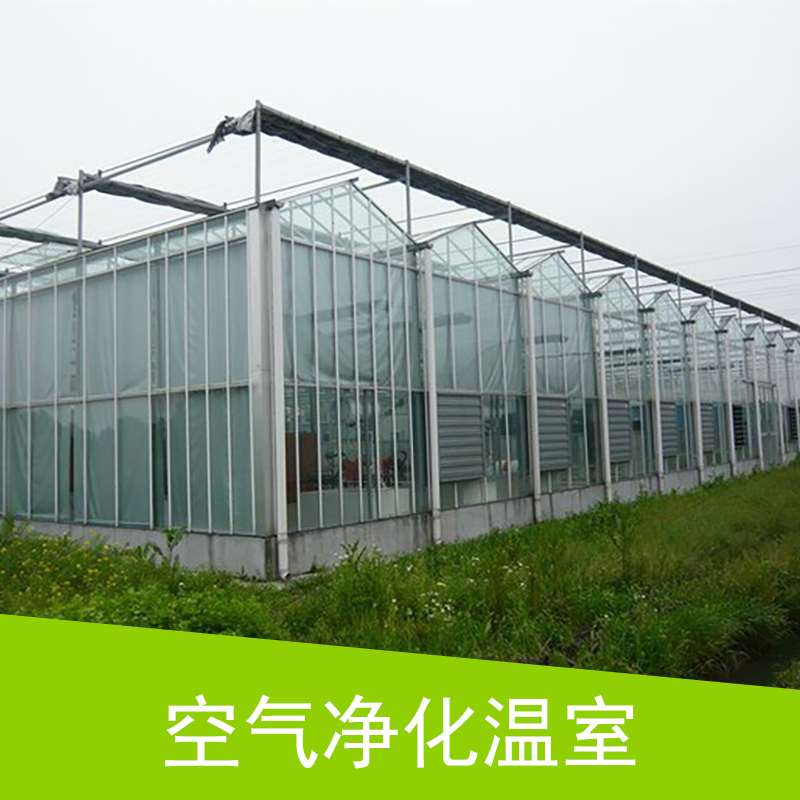 合肥市空气净化温室厂家空气净化温室 智能玻璃温室大棚 连栋种植生态温室大棚 疏菜大棚