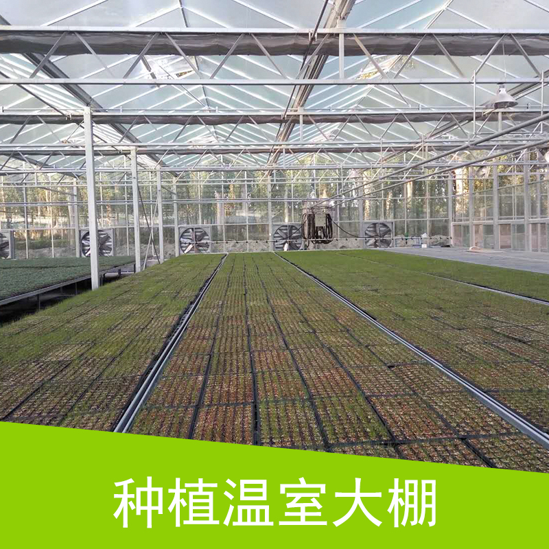 安徽种植温室大棚 智能玻璃连栋温室大棚 农业生态温室大棚 蔬菜栽培大棚