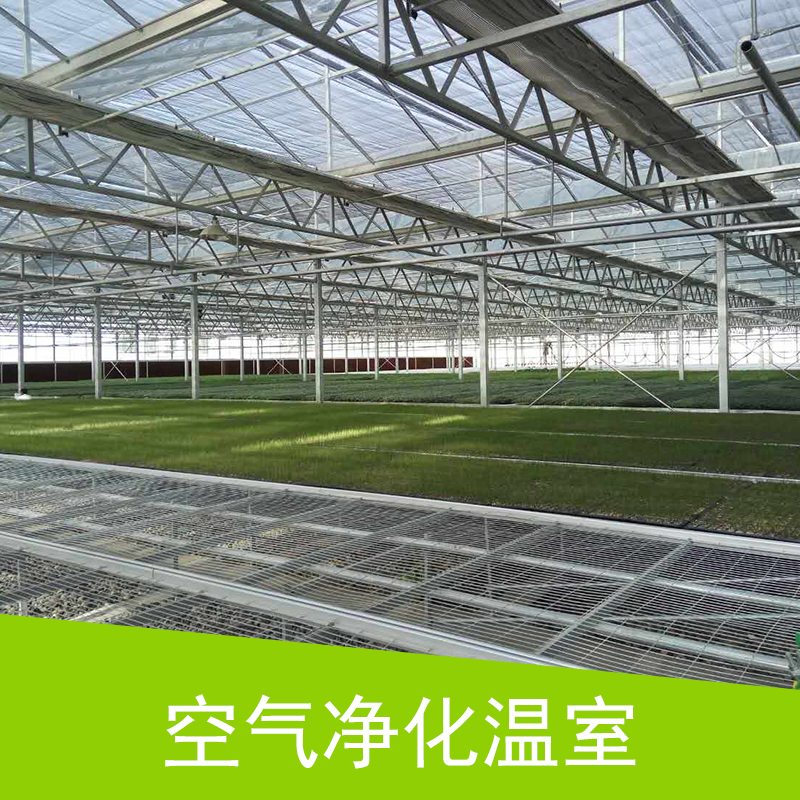 空气净化温室 智能玻璃温室大棚 连栋种植生态温室大棚 疏菜大棚